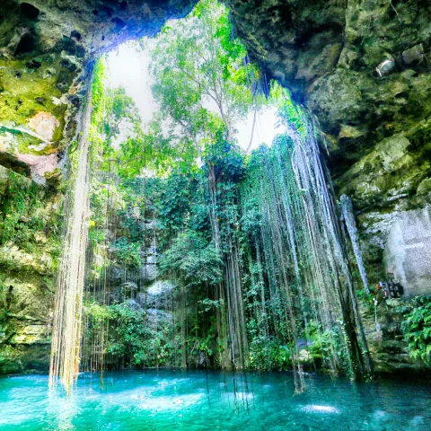 Cenote com água azul e vegetação pendendo da abertura na rocha