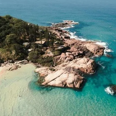 Costão de pedras à beira-mar, com vegetação e água esverdeada