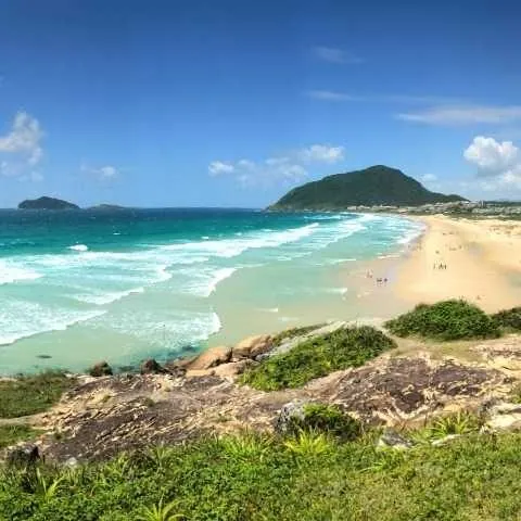 Praia cercada de mata, vista de um ponto alto