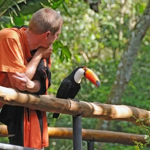 Visitante com um tucano pousado no braço, no Parque das Aves