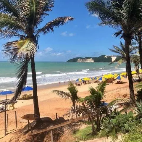 Praia com coqueiros e mar calmo em dia de sol
