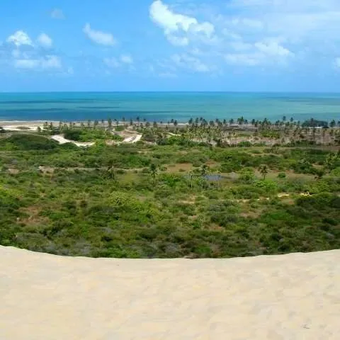 Dunas de areia clara com vegetação rasteira