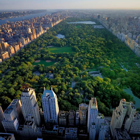 Central Park visto do alto, cercado pelos prédios de Manhattan