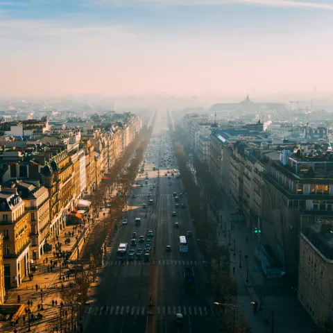 Avenida arborizada de Paris em perspectiva, com prédios haussmannianos