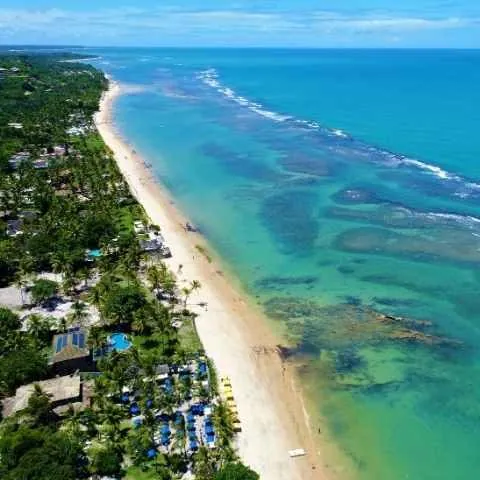 Praia de água clara com mata na beira, no sul da Bahia
