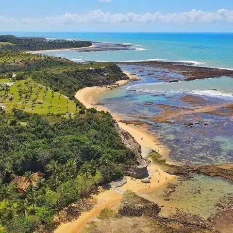Costa vista de cima, com faixa de areia e vegetação