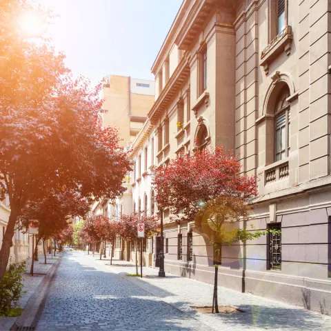 Rua de Santiago com edifício histórico e arborização