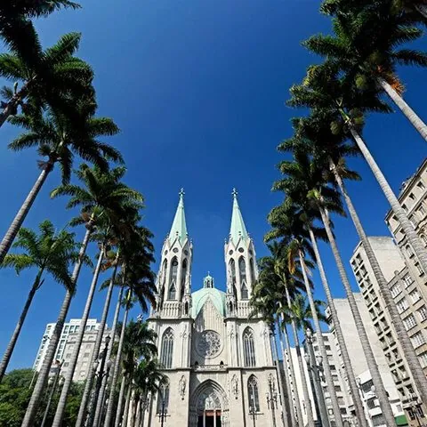 Catedral da Sé vista de baixo, entre palmeiras altas, sob céu azul